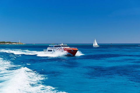 Rottnest Island Round-Trip Ferry From Perth Or Fremantle - Go Out 4
