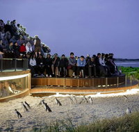 2-Day Great Ocean Road Mornington Peninsula and Phillip Island Tour - Pubs and Clubs