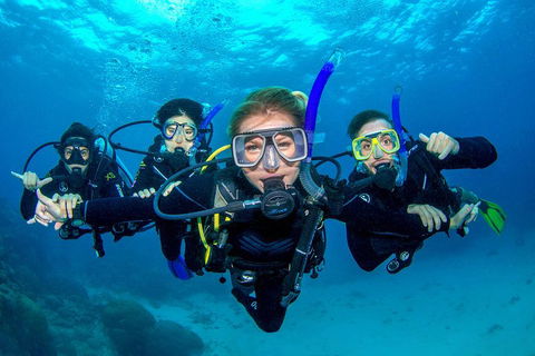 Great Barrier Reef Diving And Snorkeling Cruise From Cairns - Pubs and Clubs 0