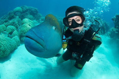 Great Barrier Reef Diving And Snorkeling Cruise From Cairns - Pubs and Clubs 2