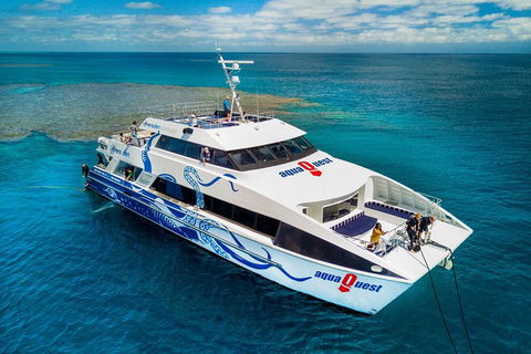 Great Barrier Reef Diving And Snorkeling Cruise From Cairns - Pubs and Clubs 5