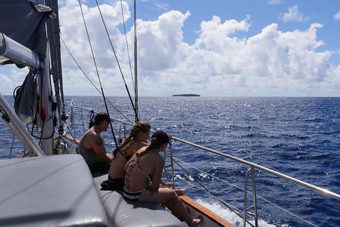 Ocean Free Green Island & Great Barrier Reef Snorkel Cruise, Cairns 25 Guests - Go Out 4