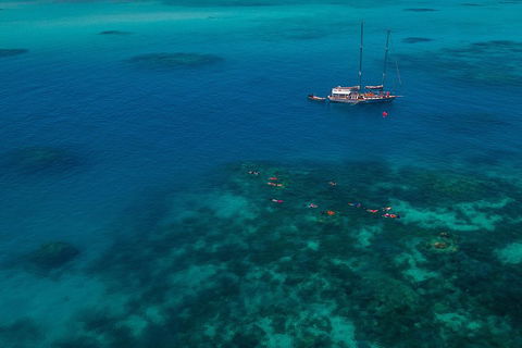 Ocean Free Green Island & Great Barrier Reef Snorkel Cruise, Cairns 25 Guests - Go Out 5