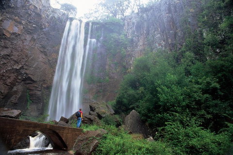 Brisbane Day In The Country Full-Day Small-Group Tour With Lunch - Go Out 3