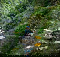 Byron Bay Rainforest Fishing - Go Out
