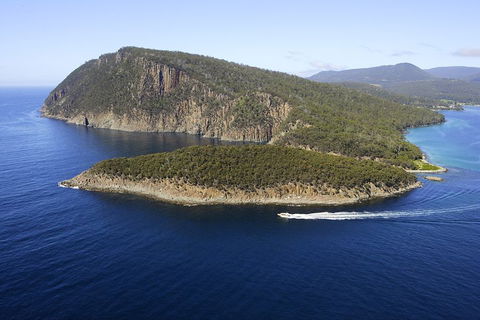 3-Hour Bruny Island Cruise From Adventure Bay, Bruny Island - Pubs and Clubs 0