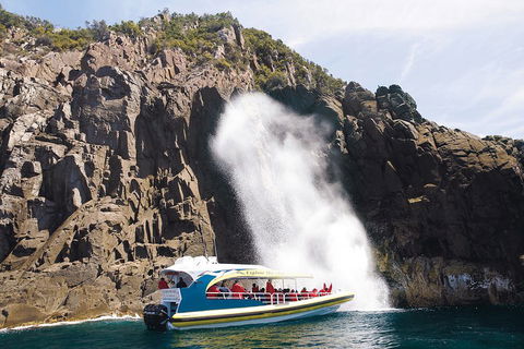 3-Hour Bruny Island Cruise From Adventure Bay, Bruny Island - Pubs and Clubs 5