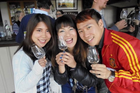 Wine Tasting Day Trip And Swan Valley River Cruise To Perth - Go Out 3