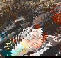 Springbrook andTamborine Rainforest Tour Incl Natural Bridge and Glow Worm Cave - Go Out