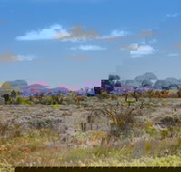 Overnight Uluru Ayers Rock Small-Group Camping Tour - Pubs and Clubs