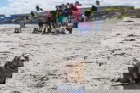 Book Viator Accommodation Vacations Pubs and Clubs Pubs and Clubs