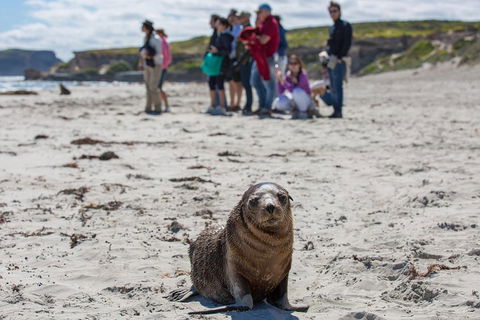 Kangaroo Island In A Day Tour From Adelaide - Pubs and Clubs 0