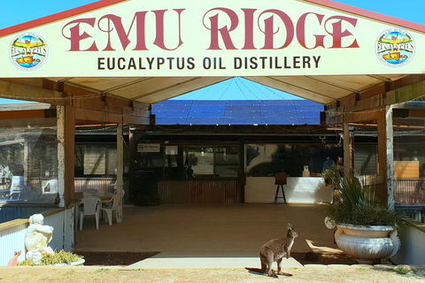 2 Day Ultimate Kangaroo Island With Return Ferry - Go Out 3