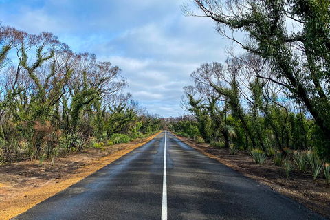 2 Day Ultimate Kangaroo Island With Return Ferry - Go Out 4