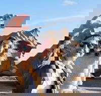 Full-Day Kangaroo Island Experience Departing from Kangaroo Island - Pubs and Clubs