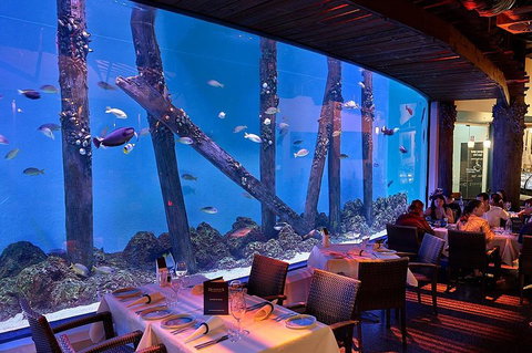 Cairns Aquarium And Small Group City Sightseeing Tour - Pubs and Clubs 4