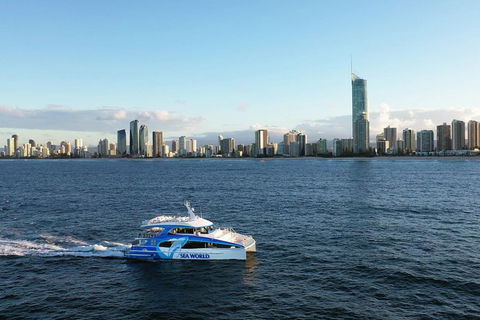 Whale Watching By Sea World Cruises - Pubs and Clubs 1