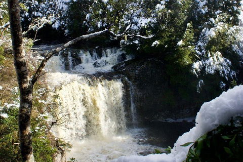 Cradle Mountain Day Tour From Launceston Including Lunch - Pubs and Clubs 0