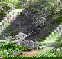 Private Daintree and Cape Tribulation Tour from Port Douglas - Pubs and Clubs