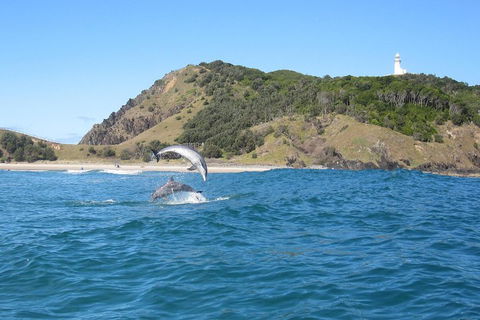 Kayaking With Dolphins In Byron Bay Guided Tour - Go Out 0