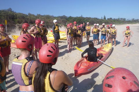 Kayaking With Dolphins In Byron Bay Guided Tour - Go Out 2