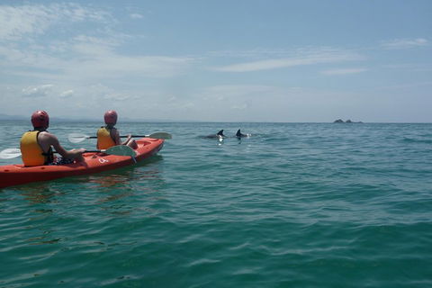 Kayaking With Dolphins In Byron Bay Guided Tour - Go Out 4