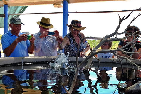 Cape Leveque 4WD Tour From Broome With Optional Return Flight - Pubs and Clubs 0