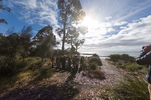 Bruny Island Day Tour, Includes Lunch And Exclusive Lighthouse Tour - Pubs and Clubs 5
