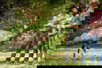 Great Ocean Road 2 Day Highlights Tour and sunset 12 Apostles, Melbourne