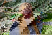 Great Ocean Road Reverse Itinerary with 12 Apostles from Melbourne