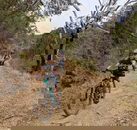 Mount Lofty Descent Bike Tour from Adelaide - Pubs and Clubs