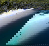 All-Inclusive Fraser Island Day Tour - Pubs and Clubs