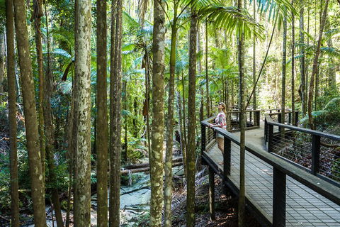 All-Inclusive Fraser Island Day Tour - Pubs and Clubs 5