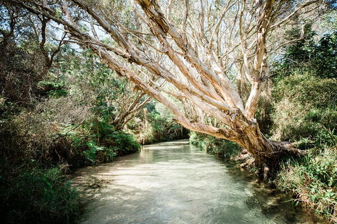 3-Day Fraser Island Resort Package - Pubs and Clubs 5
