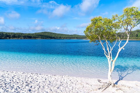 Lake McKenzie Full-Day Tour With Lunch From Hervey Bay - Pubs and Clubs 1