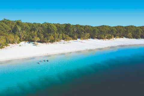 Lake McKenzie Full-Day Tour With Lunch From Hervey Bay - Pubs and Clubs 4