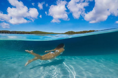 Lake McKenzie Full-Day Tour With Lunch From Hervey Bay - Pubs and Clubs 5