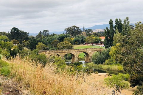 Day Tour In Mt. Field, Mt. Wellington, Bonorong Wildlife Sanctuary And Richmond - Pubs and Clubs 3