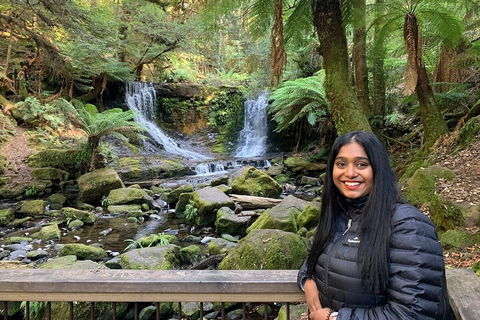 Day Tour In Mt. Field, Mt. Wellington, Bonorong Wildlife Sanctuary And Richmond - Pubs and Clubs 5