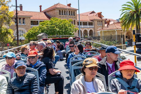 Perth Hop-On Hop-Off Bus Tour - Go Out 1