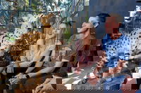 Book Viator Accommodation Vacations Pubs and Clubs Pubs and Clubs