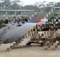 Off-Road Safari at Werribee Open Range Zoo - Pubs and Clubs