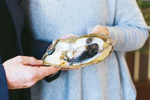 Half-Day Willie Creek Pearl Farm Tour With Helicopter Flight - Pubs and Clubs 3