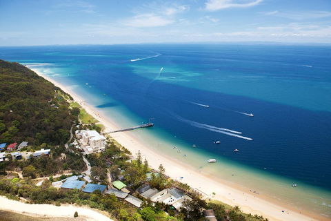 Tangalooma Island Resort Whale Watching Day Cruise - Pubs and Clubs 3