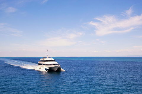 Tangalooma Island Resort Whale Watching Day Cruise - Pubs and Clubs 5