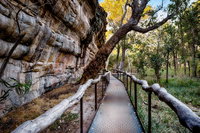 Kakadu National Park Cultural Experience, Darwin