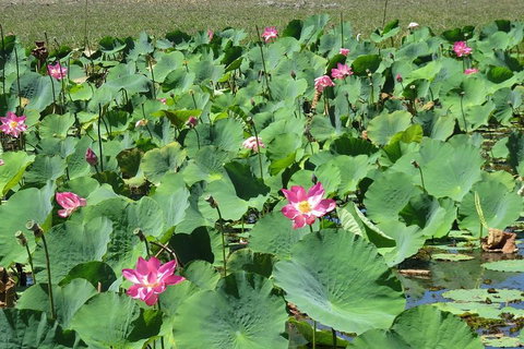 Darwin To Kakadu Day Trip By Air Including Yellow Water Cruise - Go Out 2