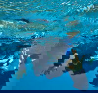 3 Day Whitsundays Sailing and Diving Adventure Kiana - Pubs and Clubs