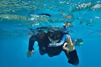 3 Day Whitsundays Sailing and Diving Adventure Kiana, Airlie Beach