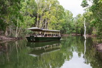 Hartley's Crocodile Adventures Breakfast with the Koalas, Palm Cove
